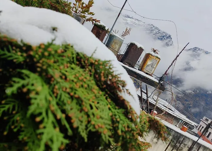 Odyssey Stays Joshimath - Near Narsingh Temple